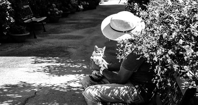 Stella Marina Sea & Sun Panzió Cefalù Kültér fotó
